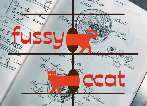 Fussy-Ccat-Concierge-India