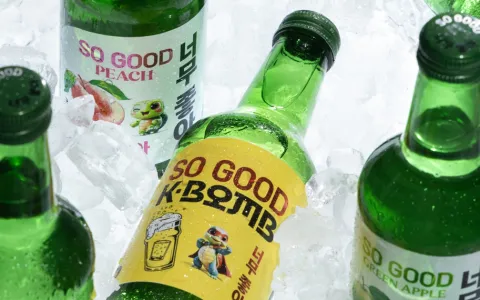 So-Good-Soju-Burp-Bible