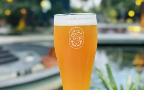 Belgian-Saison