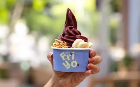 Friyo-New-Frozen-Yogurt-Bar-in-Bengaluru