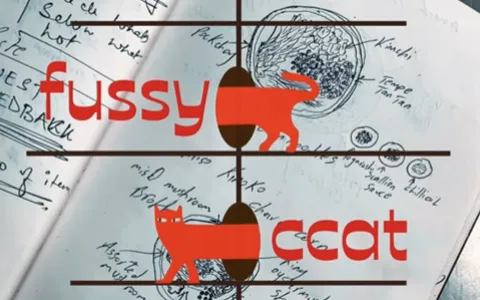 Fussy-Ccat-Concierge-India