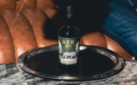 stranger-sons-aer
