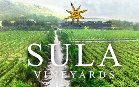 Sula-Vineyards-Reports-Revenue-Growth-In-Q4-FY26