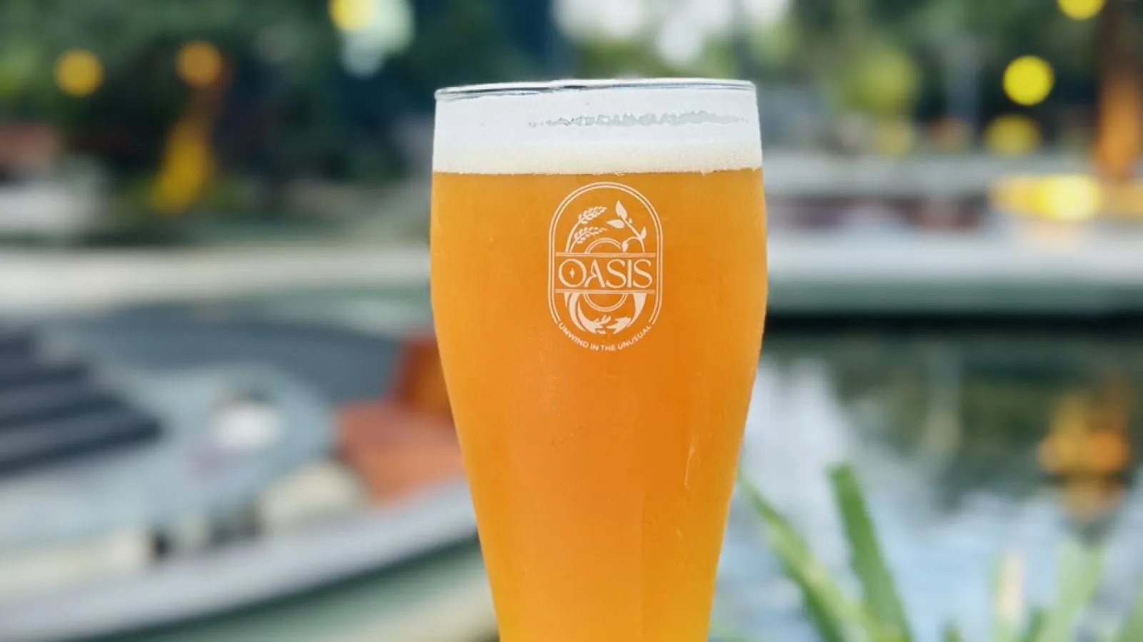 Belgian-Saison