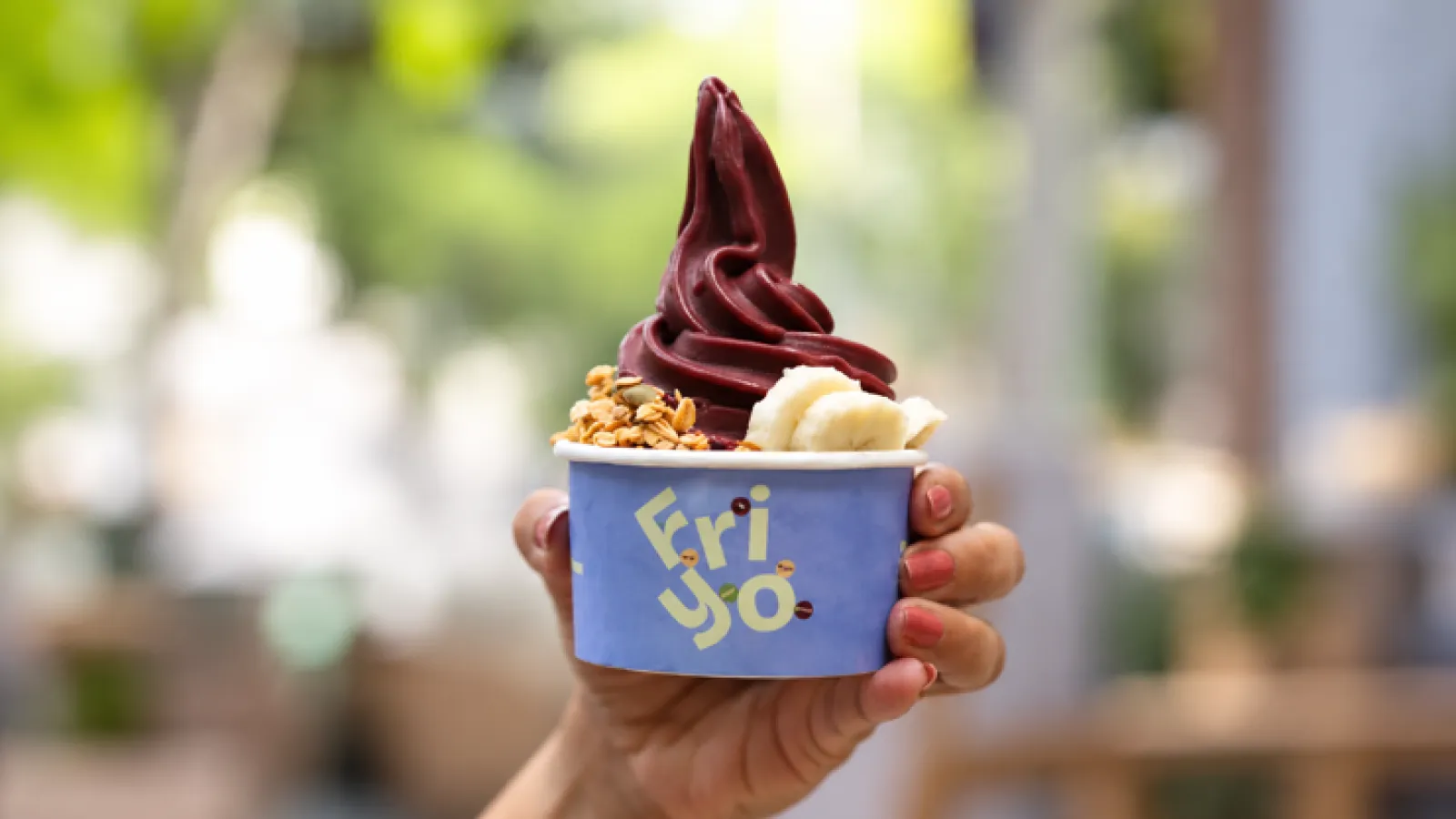 Friyo-New-Frozen-Yogurt-Bar-in-Bengaluru