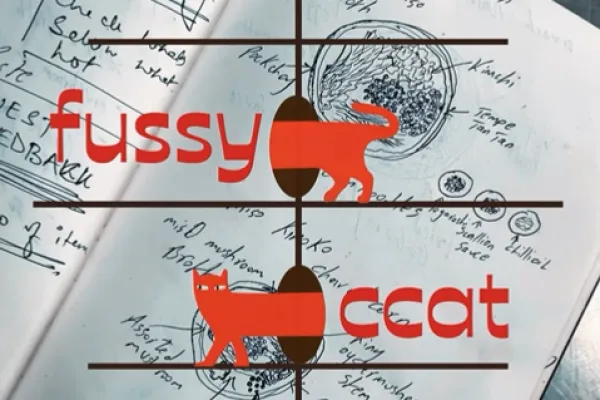Fussy-Ccat-Concierge-India