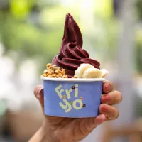 Friyo-New-Frozen-Yogurt-Bar-in-Bengaluru