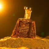 Amrut-Expedition
