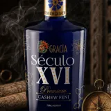 Gracia-Seculo-XVI-Burp-Bible