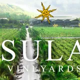 Sula-Vineyards-Reports-Revenue-Growth-In-Q4-FY26