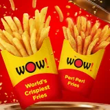 Wow-Momo-Fries-Burp-Bible