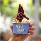 Friyo-New-Frozen-Yogurt-Bar-in-Bengaluru