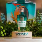 Vanaha-Gin